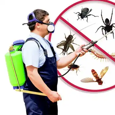pest control Erwinville